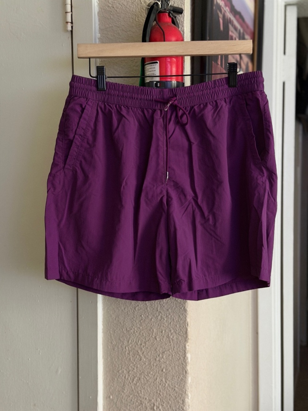 Zara Plum Drawstring Shorts